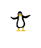 Pingouin 3